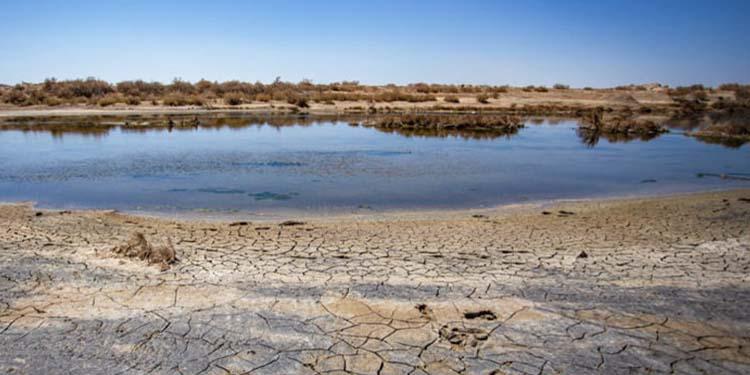 نصف الأراضي الرطبة في إيران دمرها سوء إدارة المسؤولين